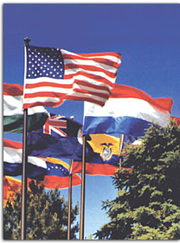 International Flags